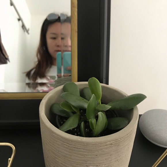 Meet your Posher, Catherine - Picture 1 of 1